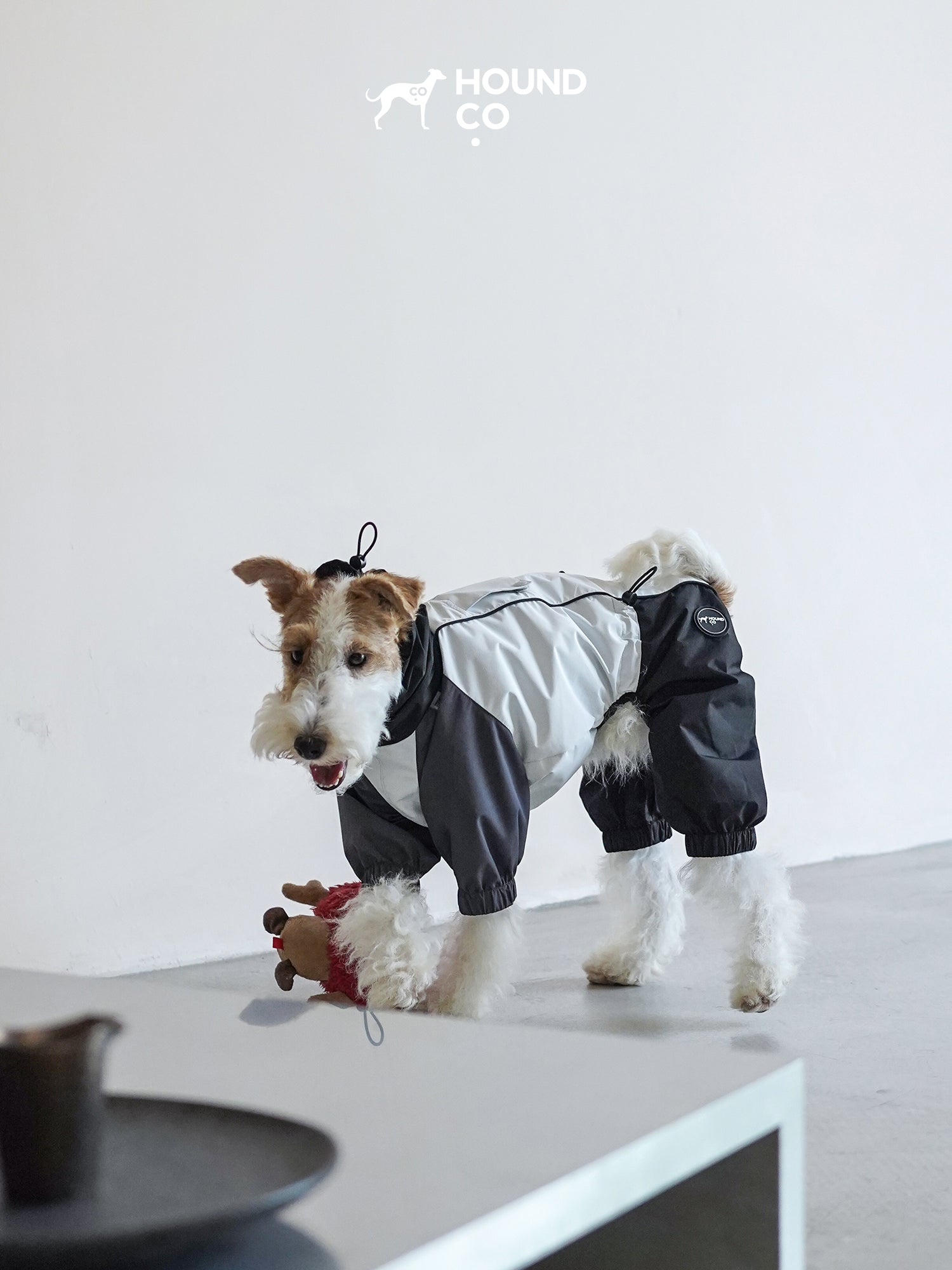 Raincoats