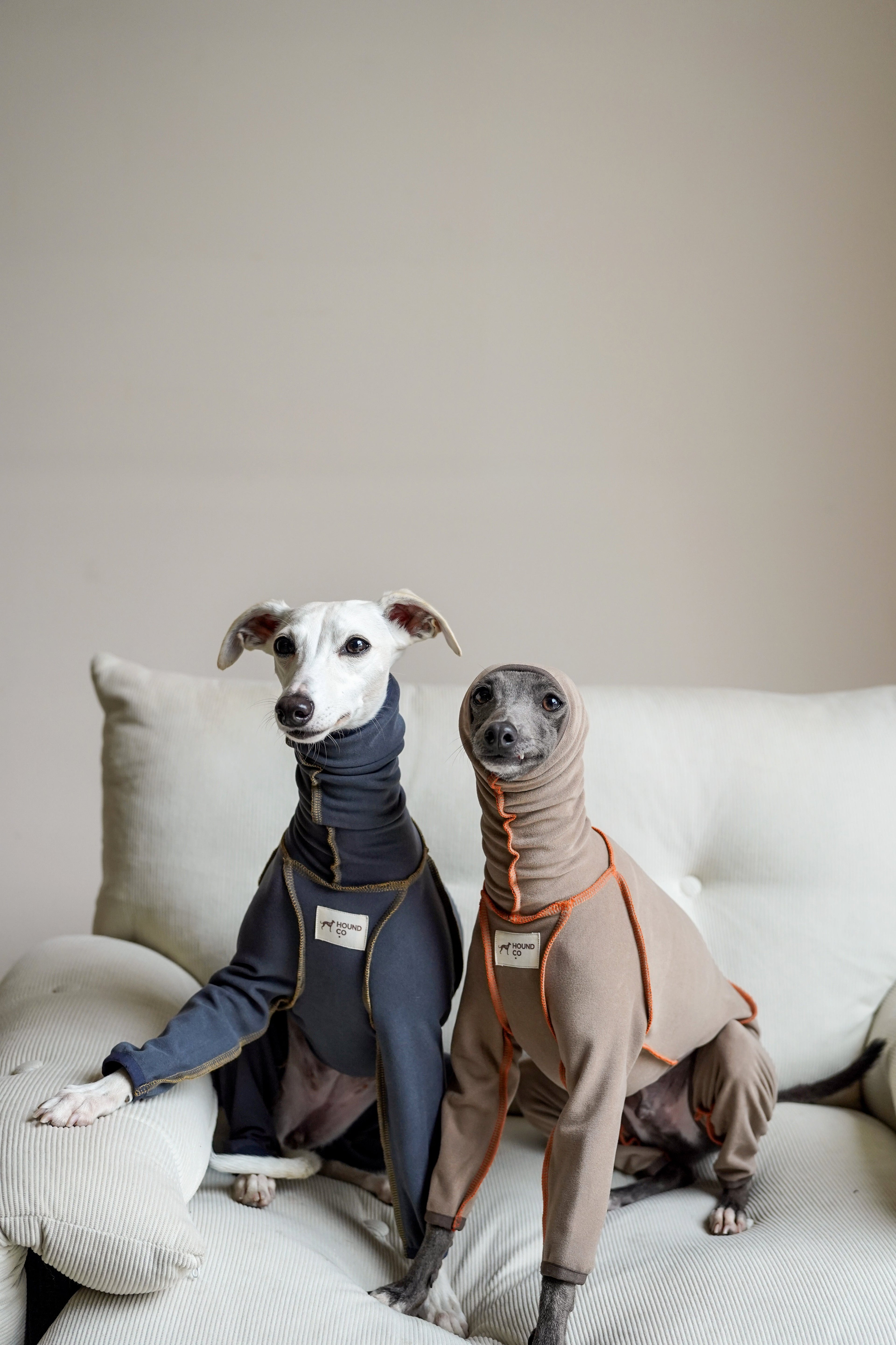 Sighthounds Clothing