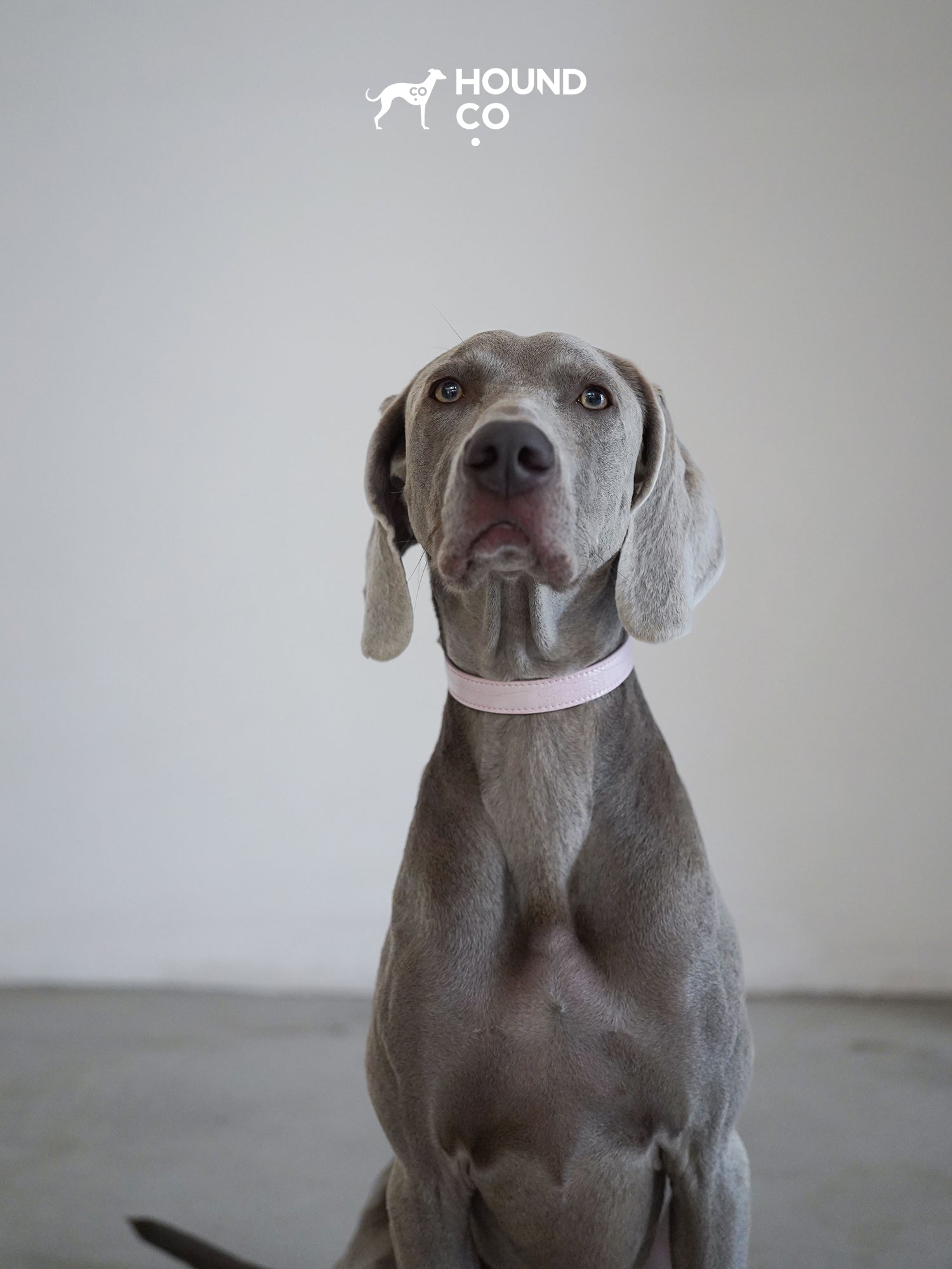 Sakura Vegan Croco Patterned Collar