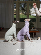 Sighthound fleeced onesie Mint