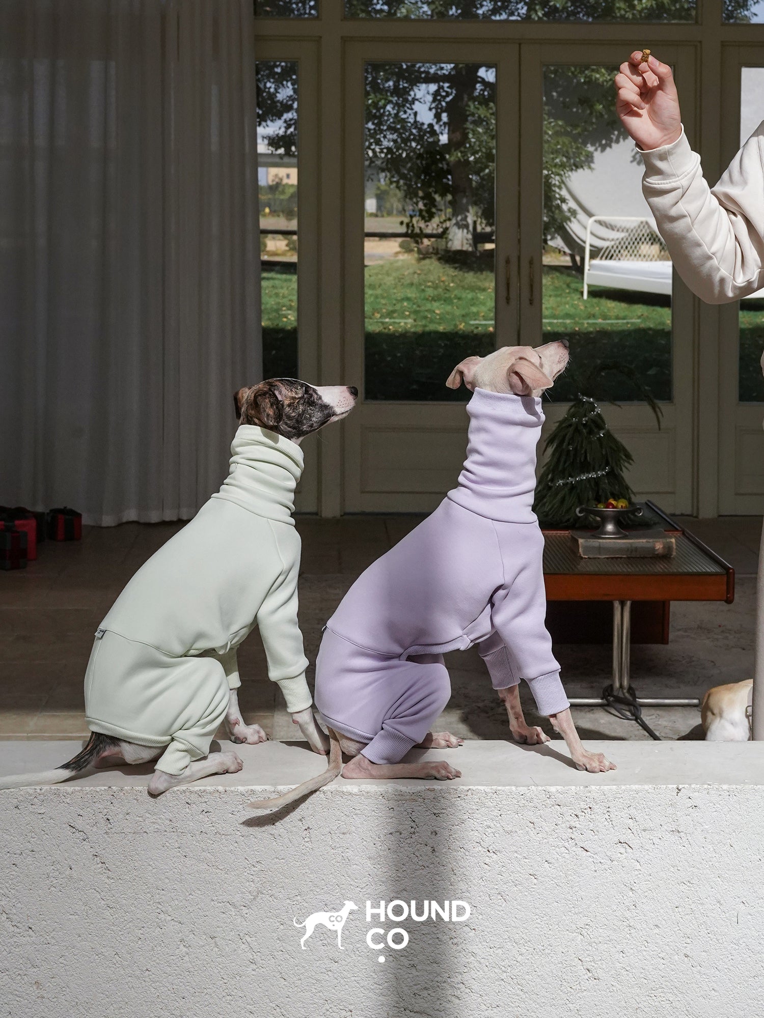 Sighthound fleeced onesie Mint