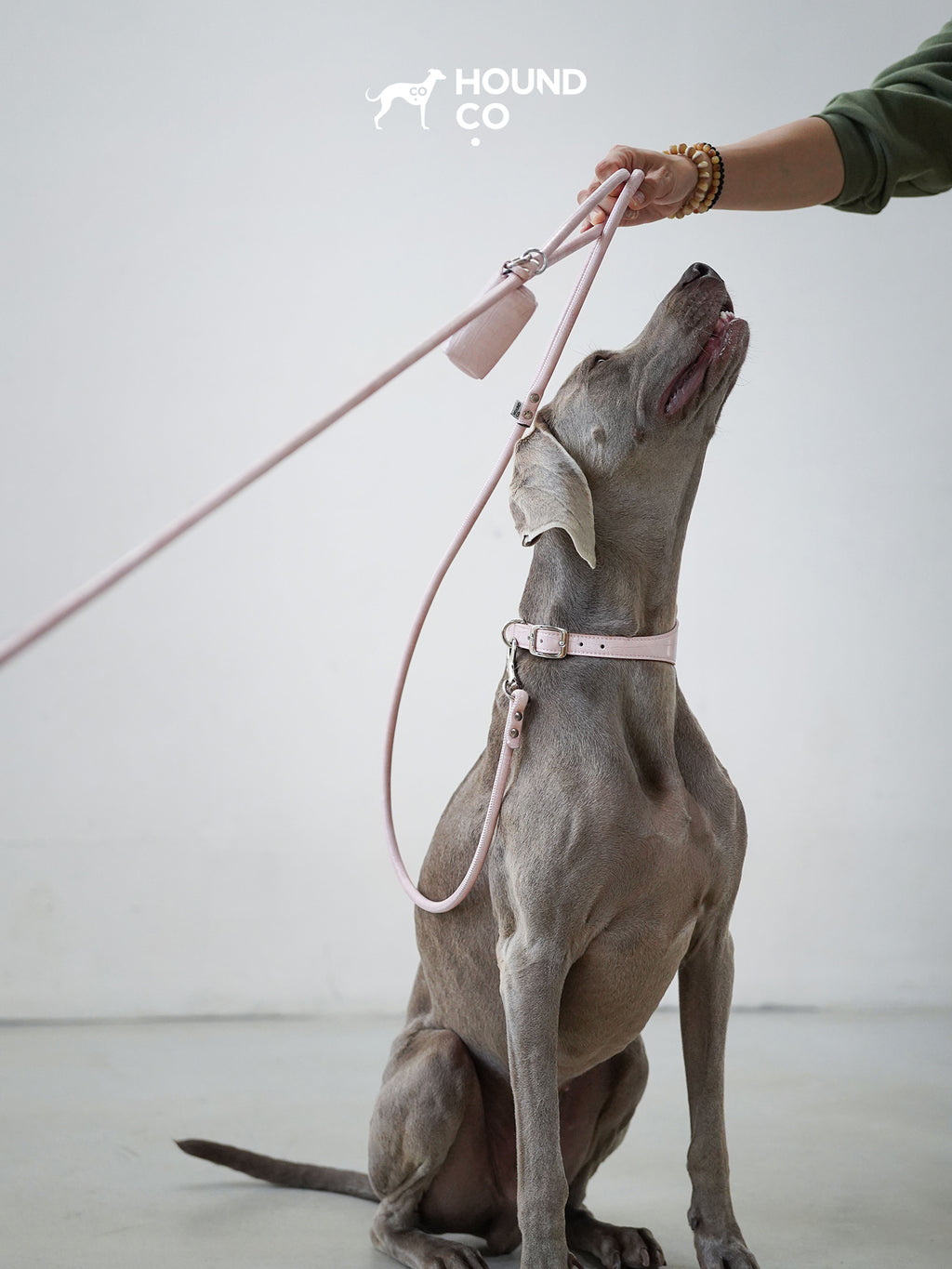 Sakura Vegan Croco Patterned Leash