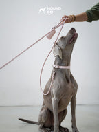 Sakura Vegan Croco Patterned Leash