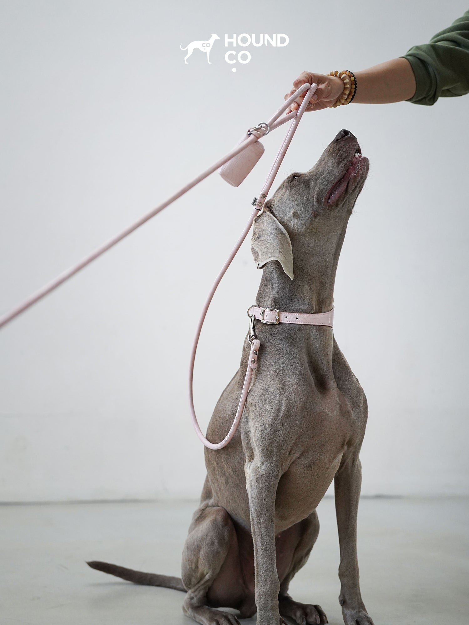 Sakura Collar and Leash Bundle