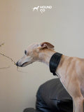 Onyx Vegan Croco Patterned Collar