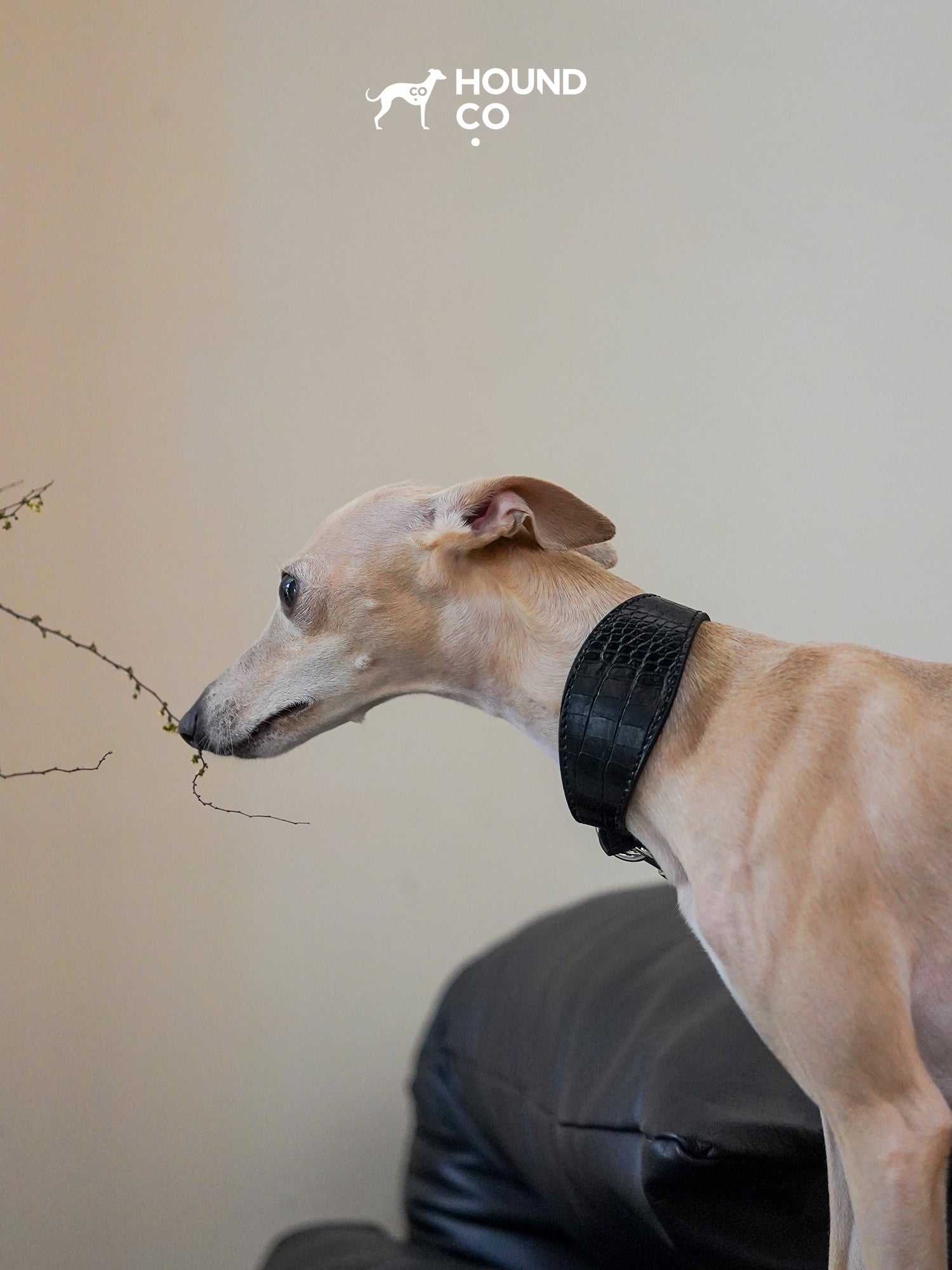 Onyx Vegan Croco Patterned Collar