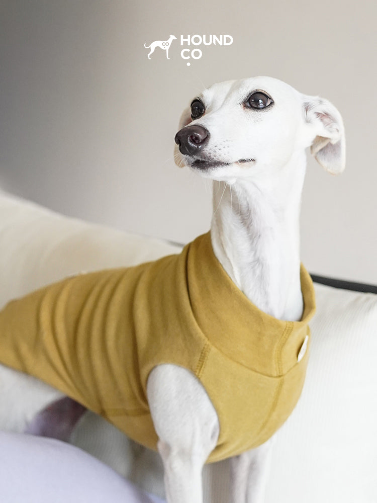 Ultra soft vest for all breeds