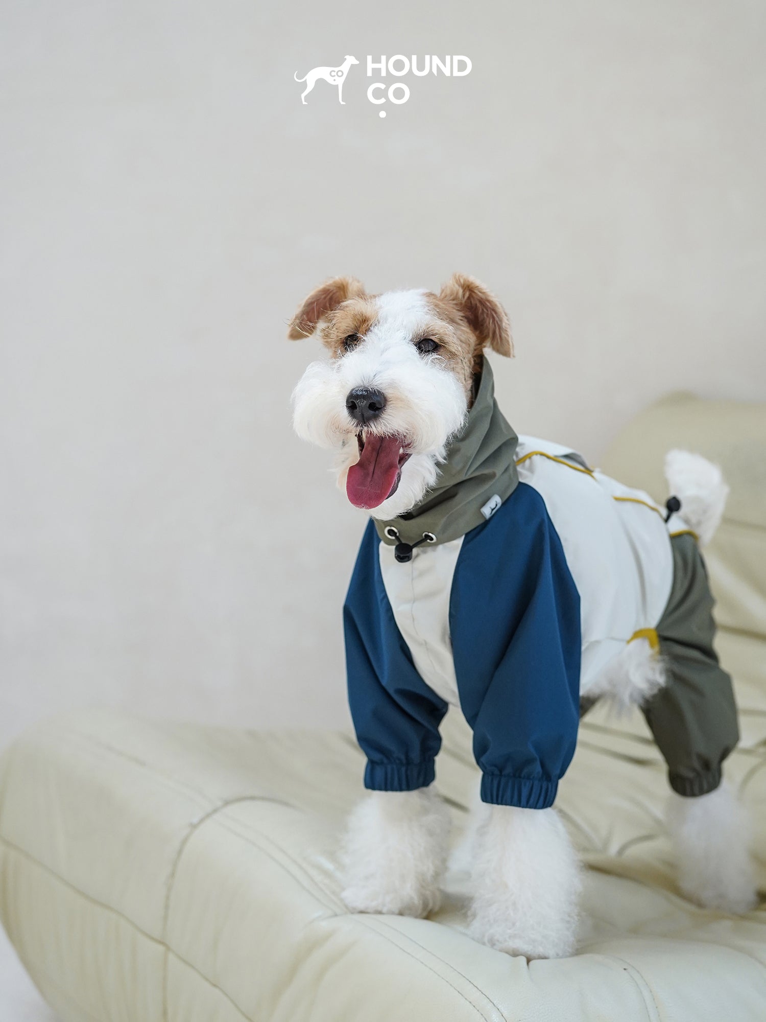 Lightweight Barrier Raincoat for sighthounds and all breeds