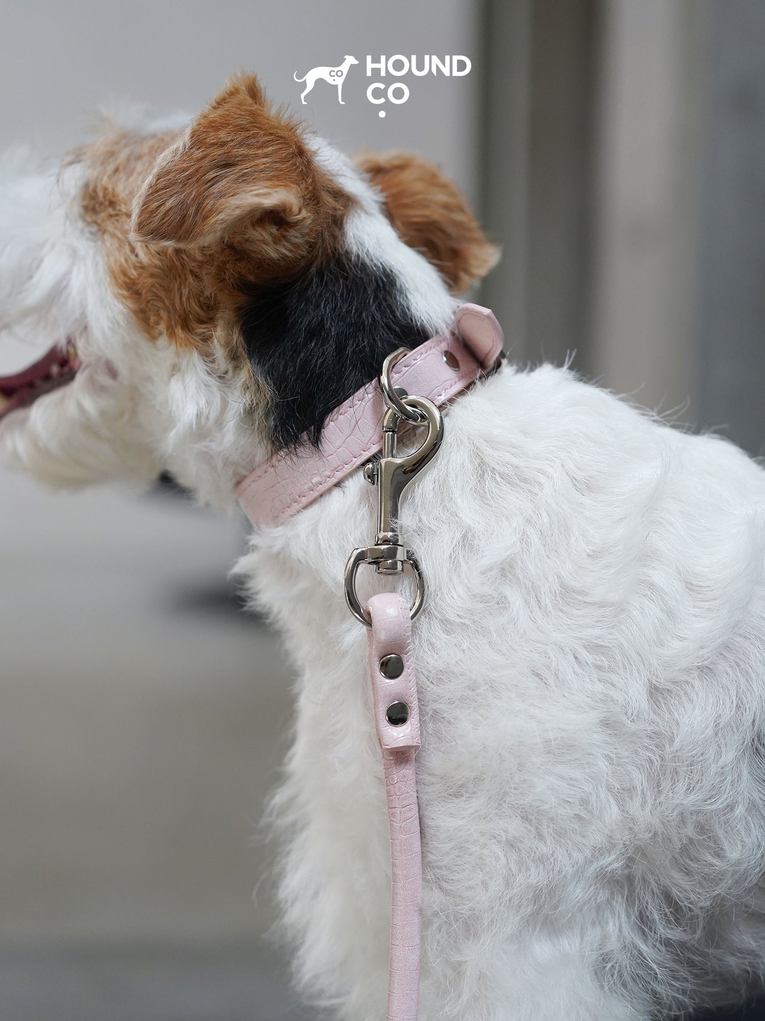 Sakura Vegan Croco Patterned Collar