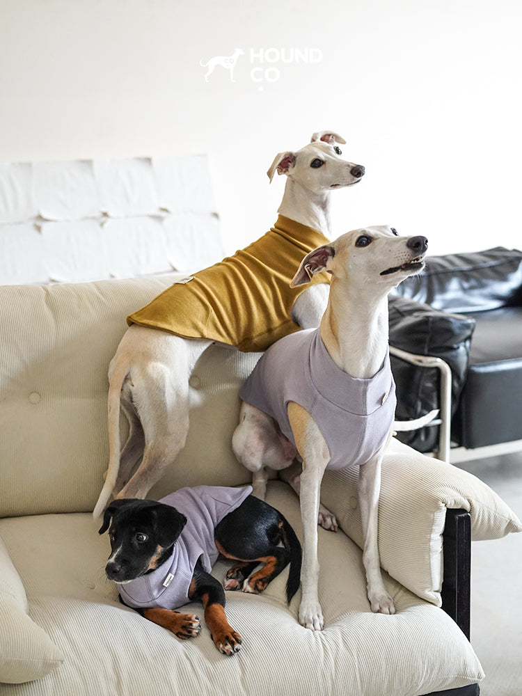 Ultra soft vest for all breeds