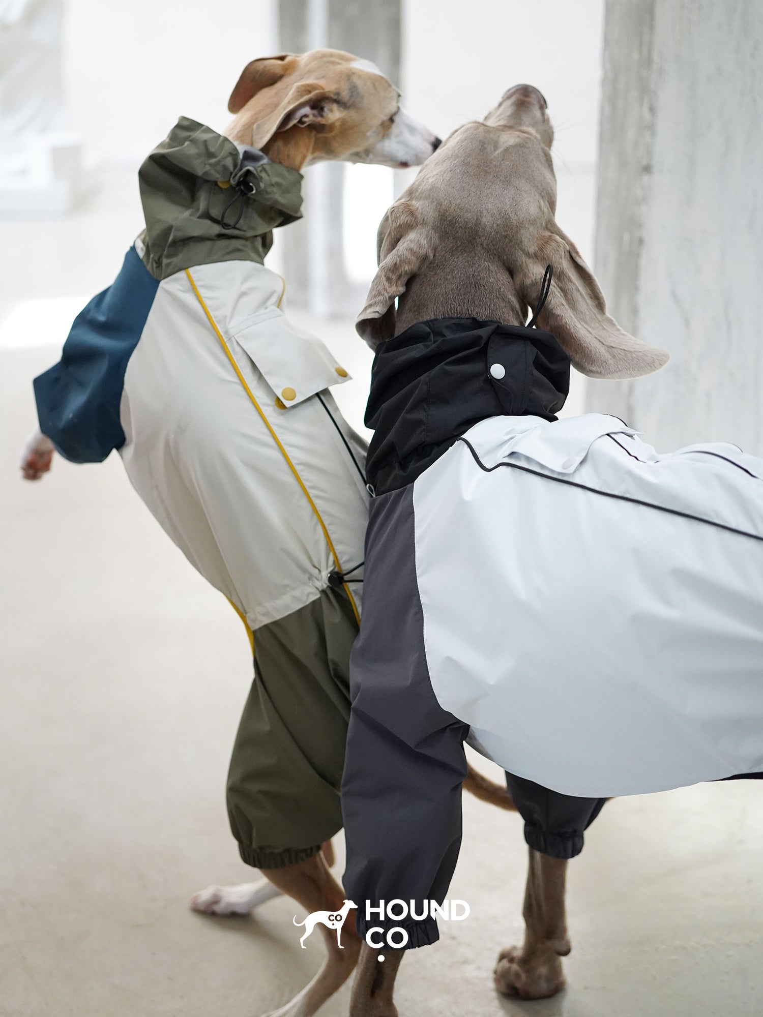 Lightweight Barrier Raincoat for sighthounds and all breeds