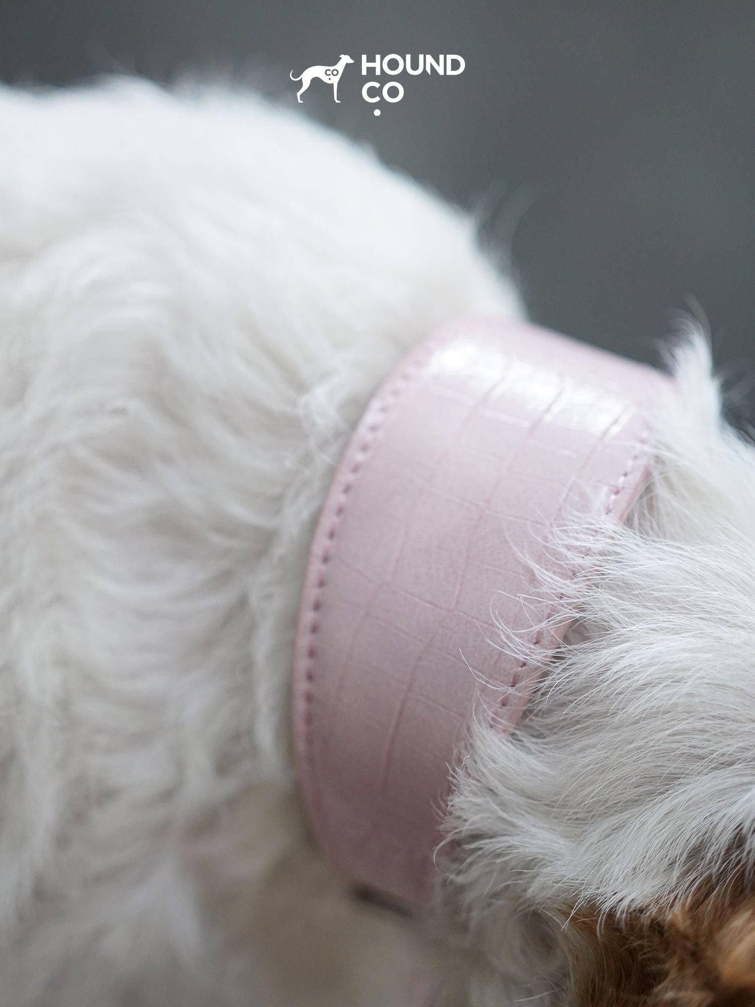 Sakura Collar and Leash Bundle