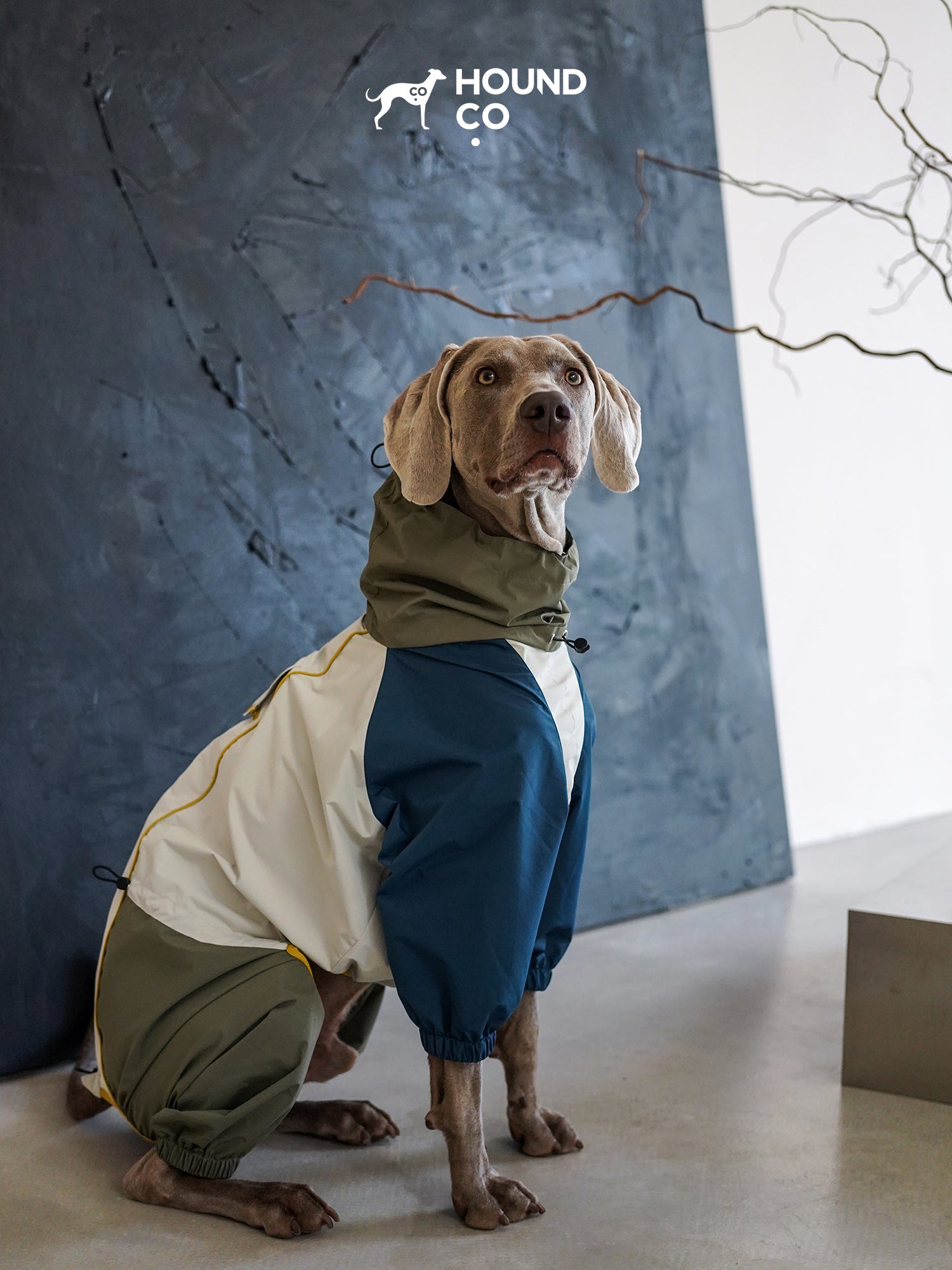 Lightweight Barrier Raincoat for sighthounds and all breeds