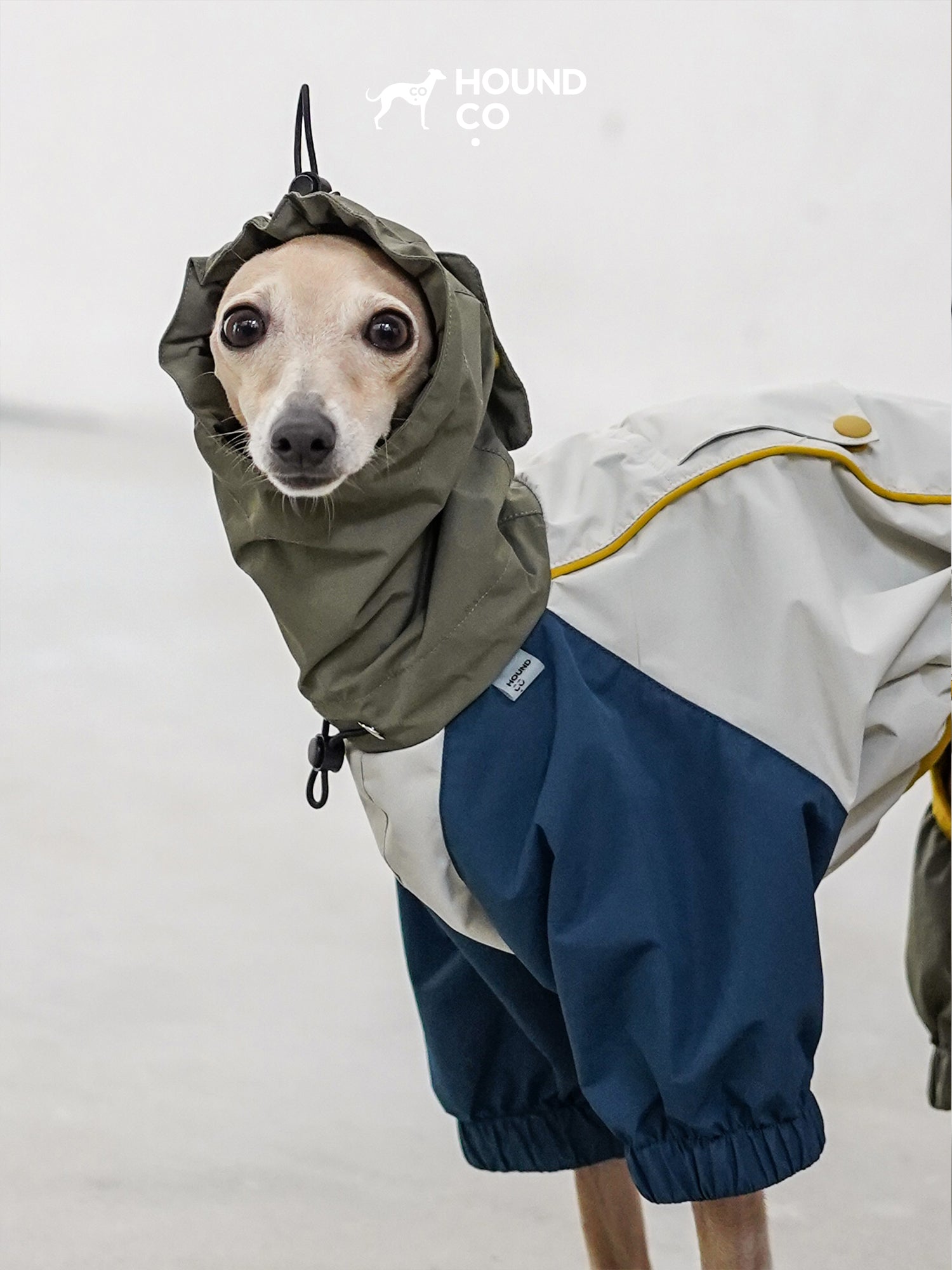 Lightweight Barrier Raincoat for sighthounds and all breeds