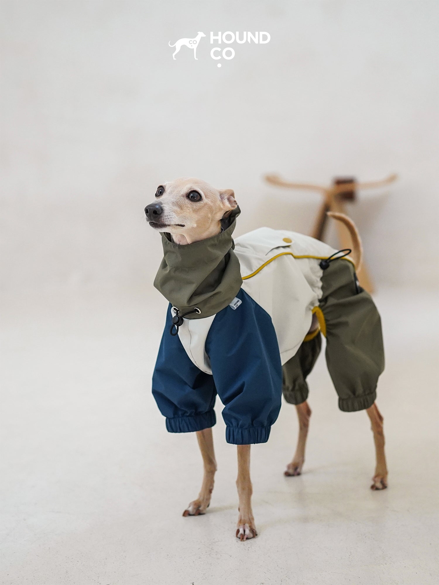 Lightweight Barrier Raincoat for sighthounds and all breeds