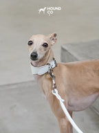Porcelain Collar and Leash Bundle