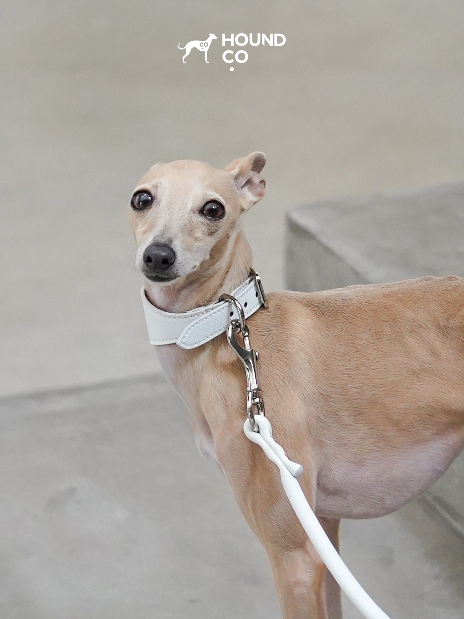 Porcelain Collar and Leash Bundle