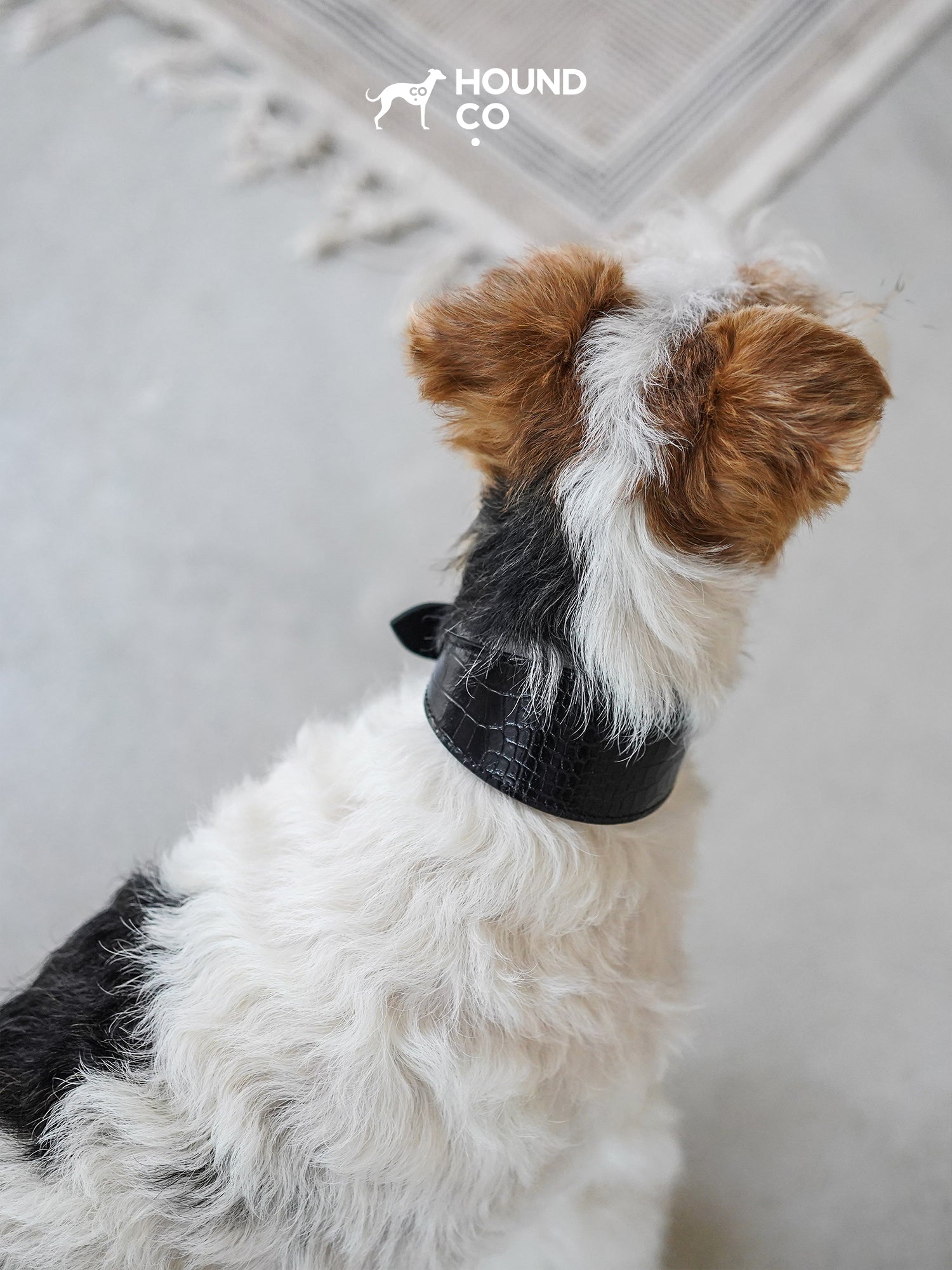 Onyx Vegan Croco Patterned Collar