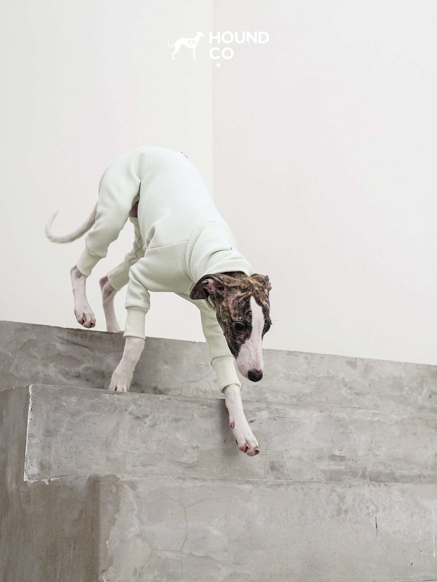 Sighthound fleeced onesie Mint