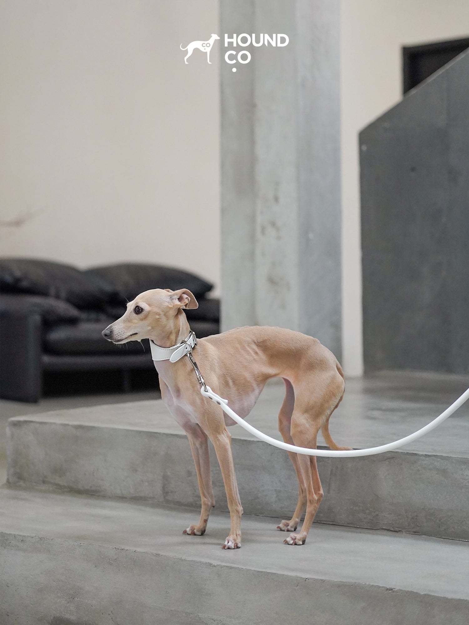 Porcelain Collar and Leash Bundle