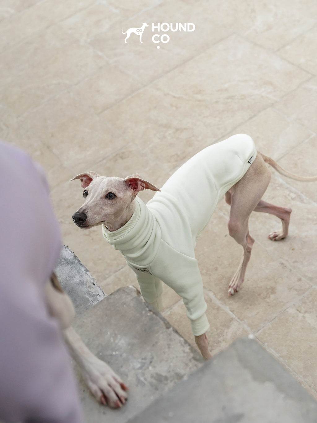 Sighthound Fleeced Tee Mint