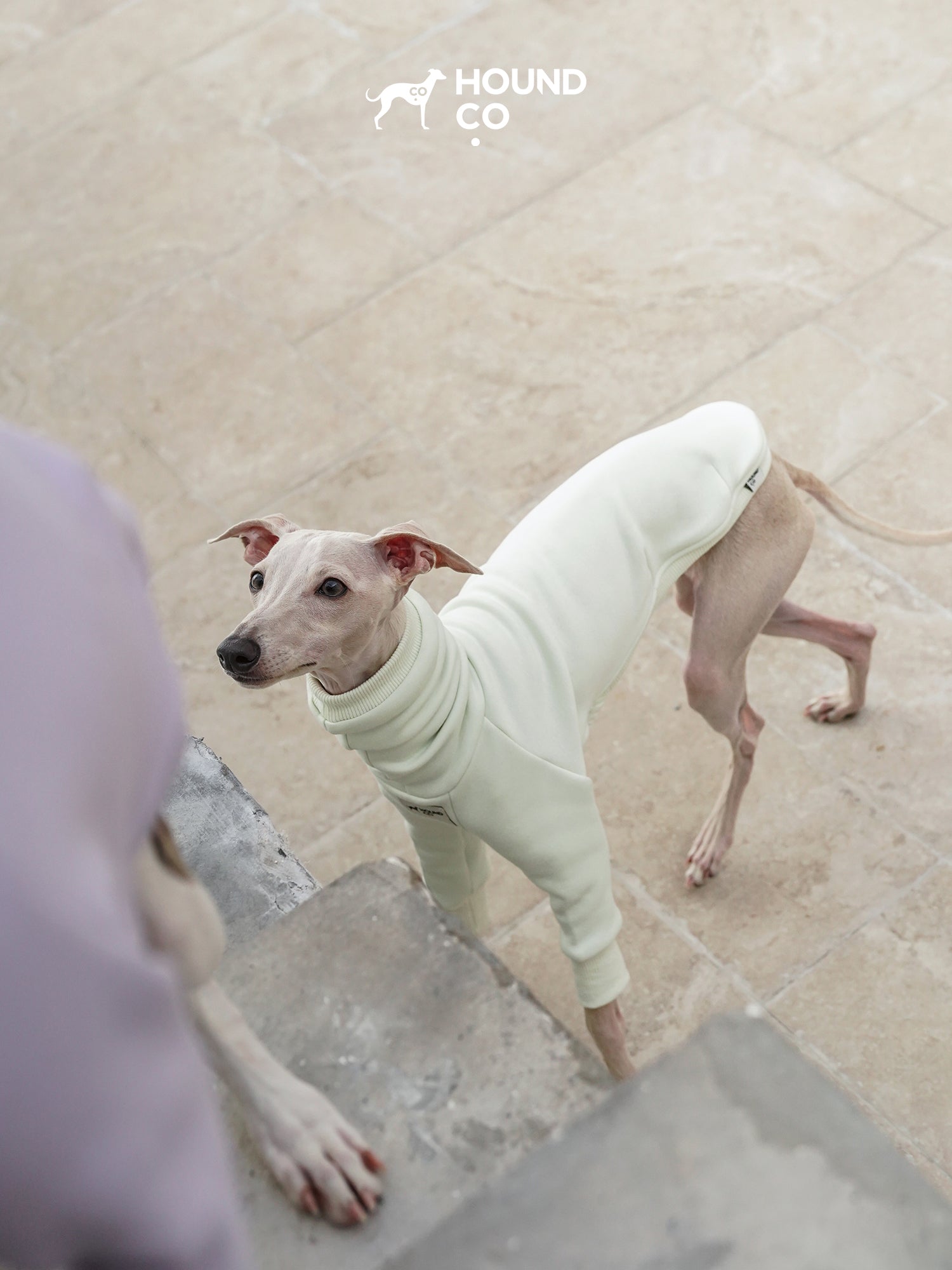 Sighthound Fleeced Tee Mint
