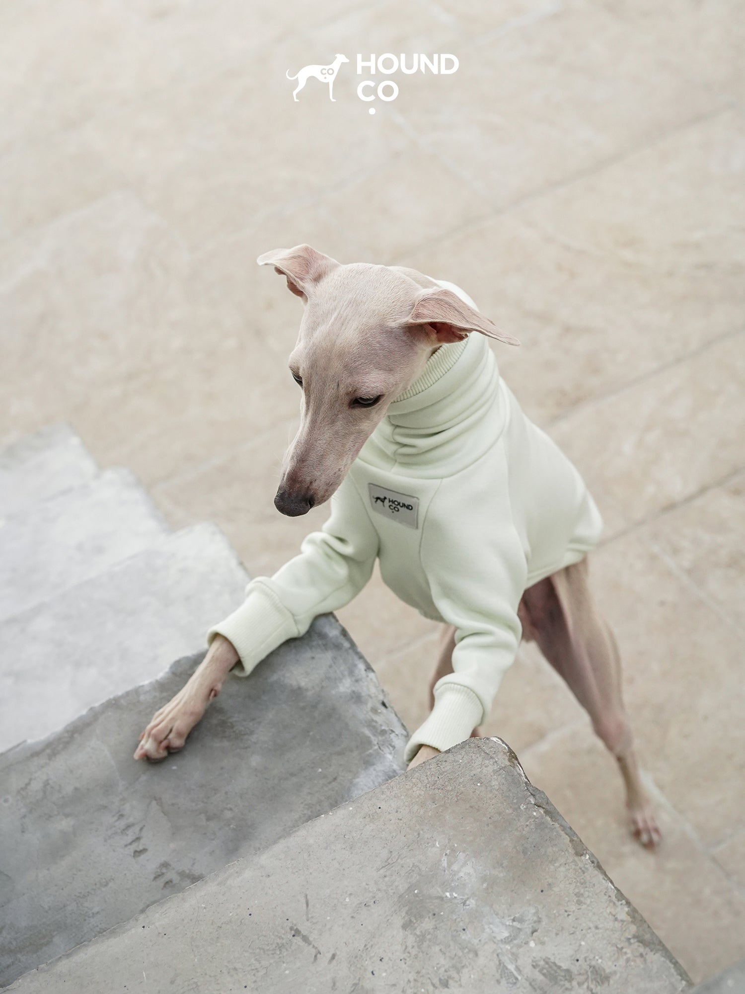 Sighthound Fleeced Tee Mint