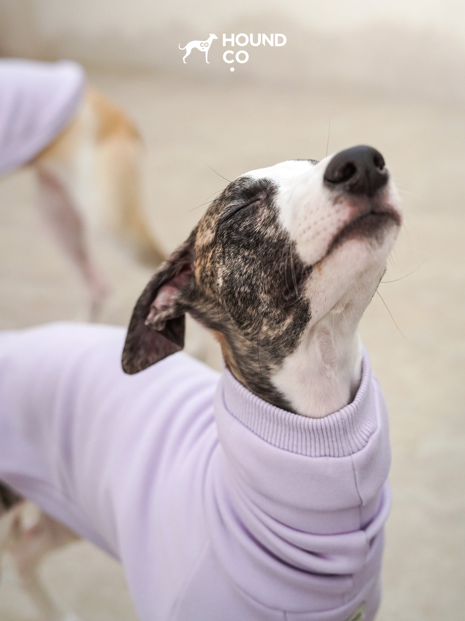 Sighthound Fleeced Tee Lilac