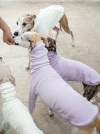 Sighthound Fleeced Tee Mint