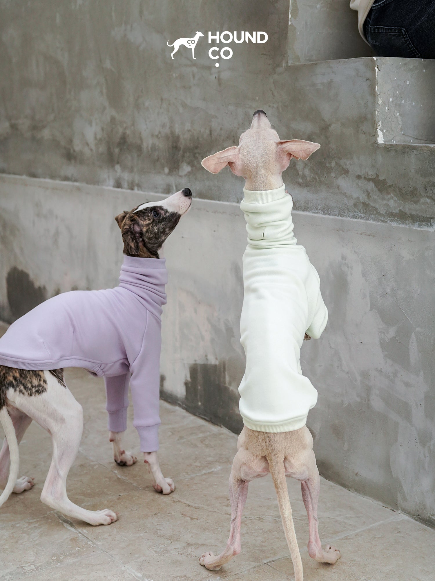 Sighthound Fleeced Tee Lilac