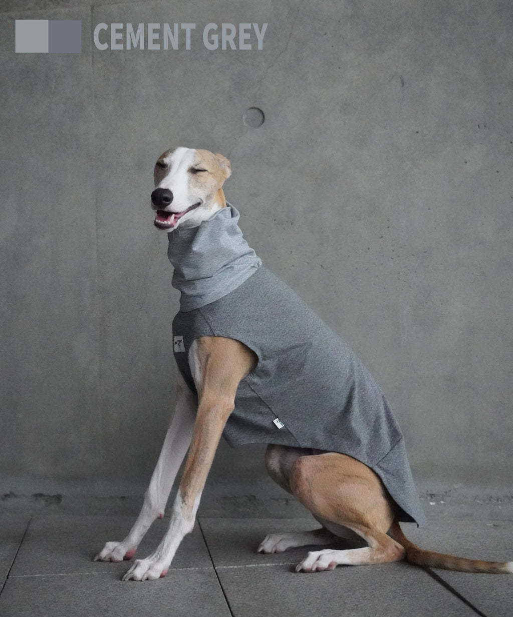 Lightweight Vest for Sighthound