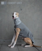 Lightweight Vest for Sighthound