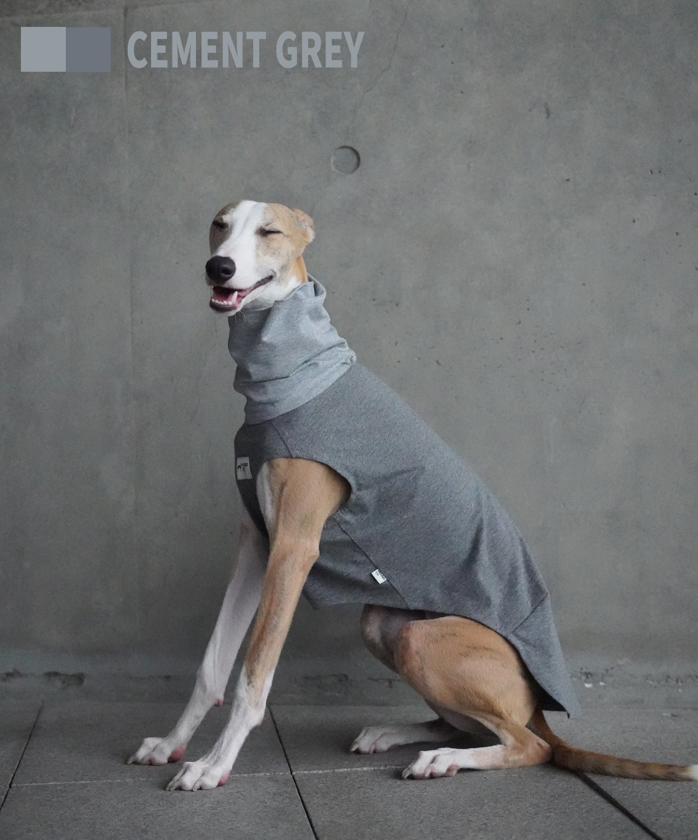 Lightweight Vest for Sighthound