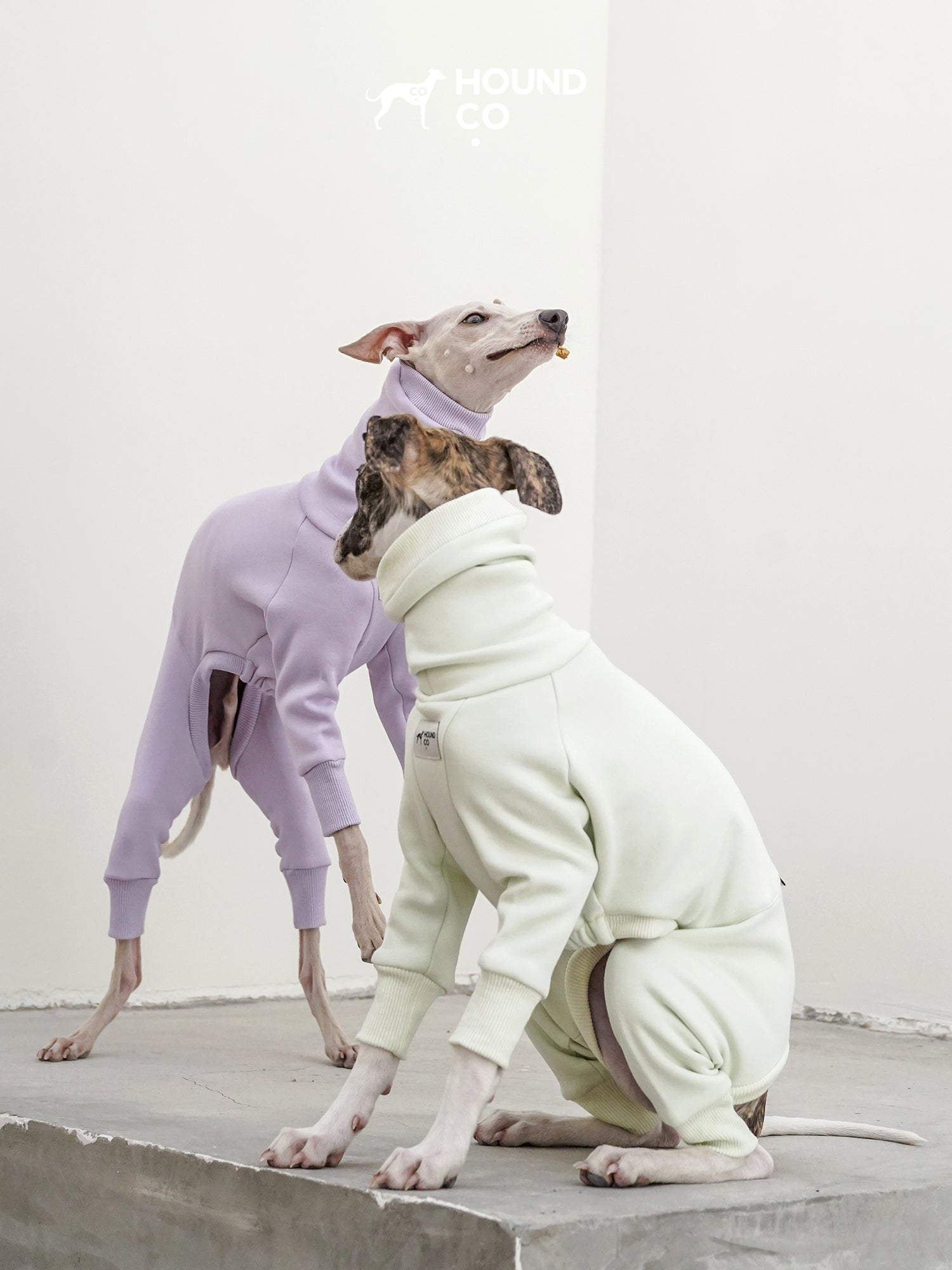 Sighthound fleeced onesie Mint