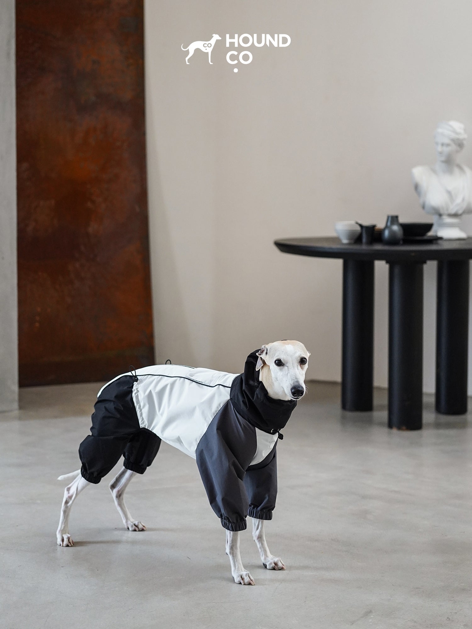 Lightweight Barrier Raincoat for sighthounds and all breeds