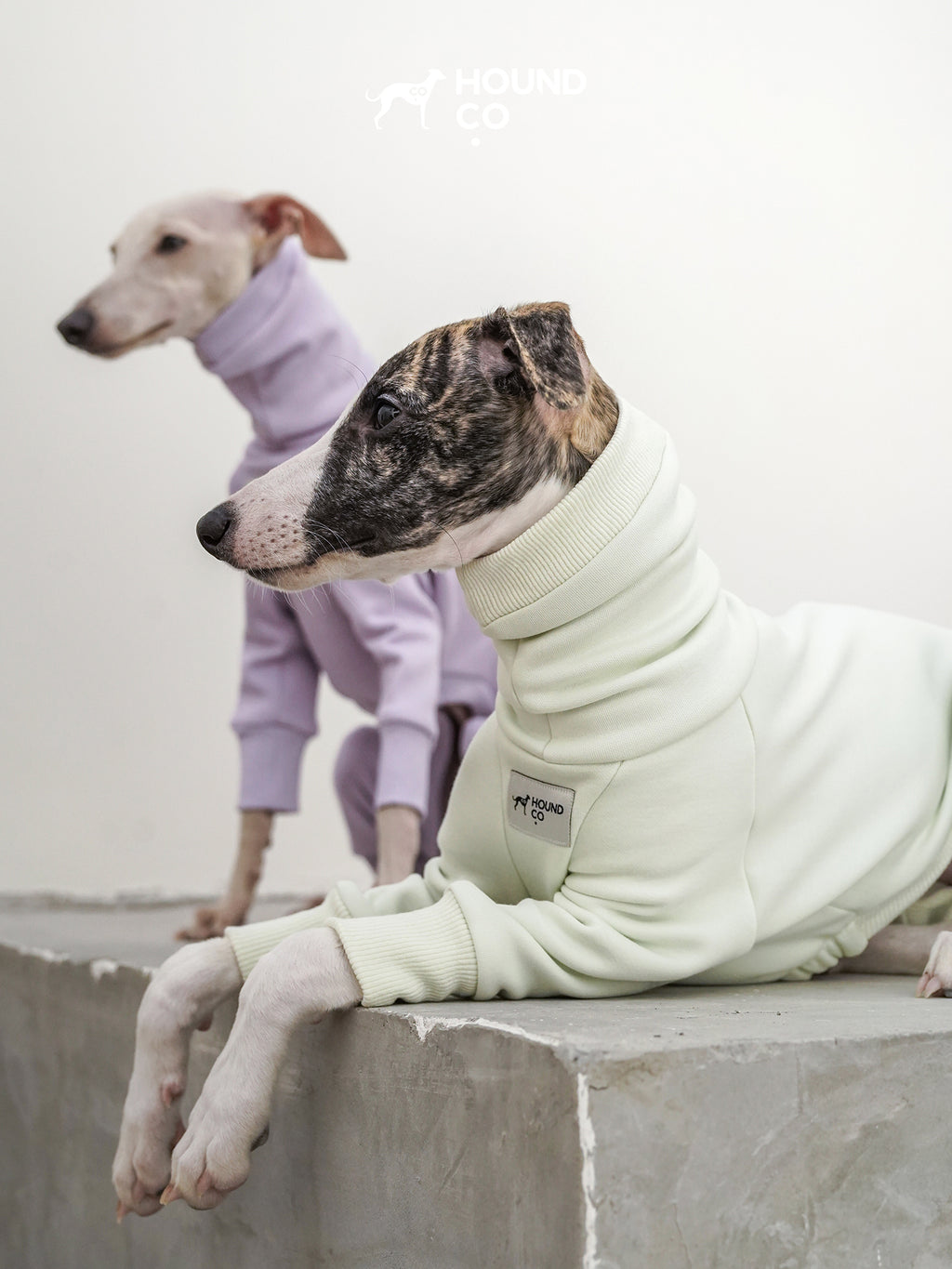 Sighthound fleeced onesie Mint