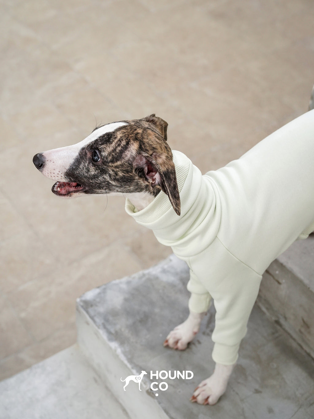 Sighthound fleeced onesie Mint