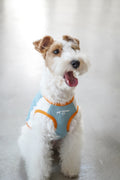 Mesh Cooling Vest