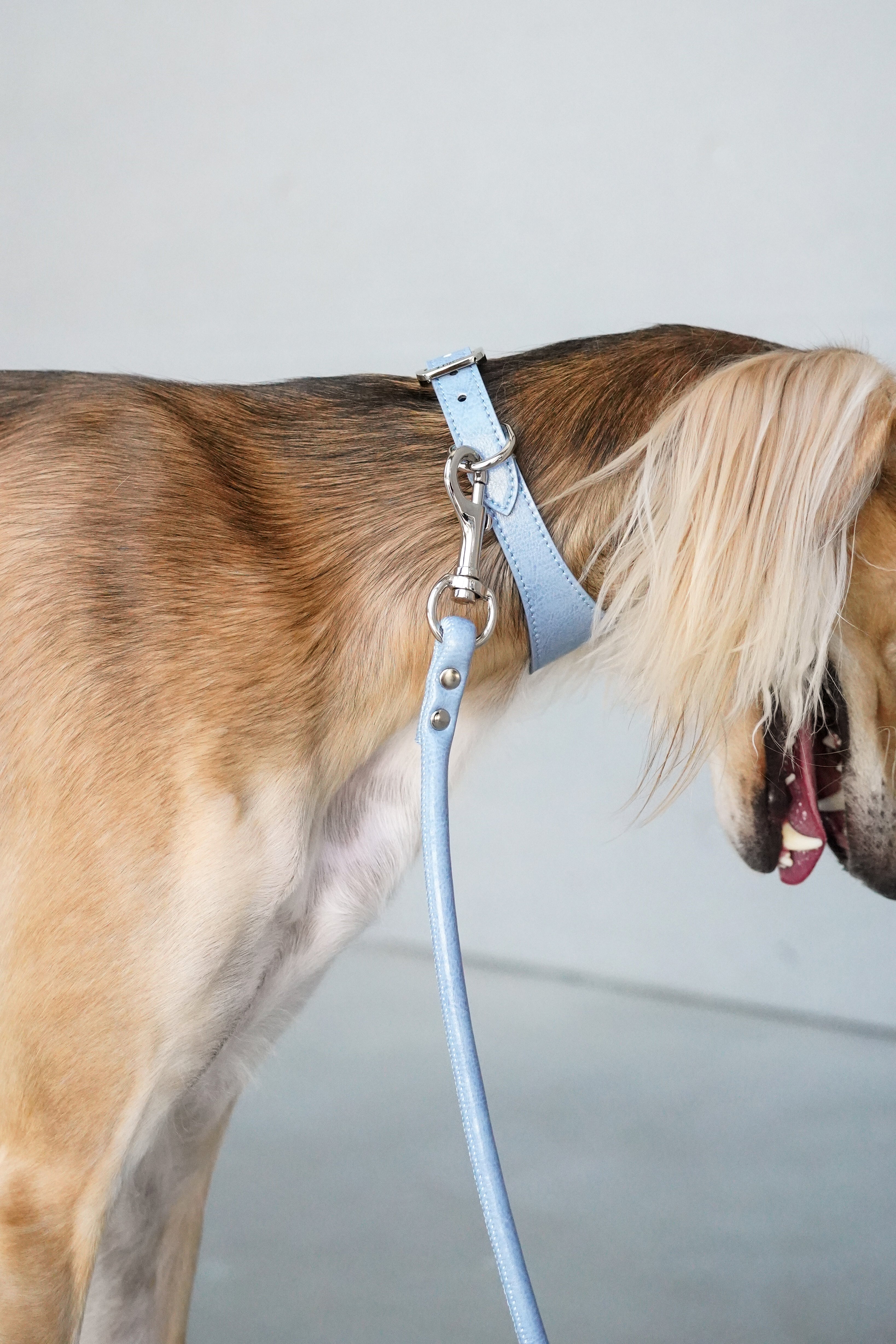 Denim Blue Vegan Leash