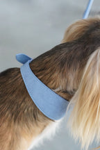Denim Blue Sighthound Vegan Collar
