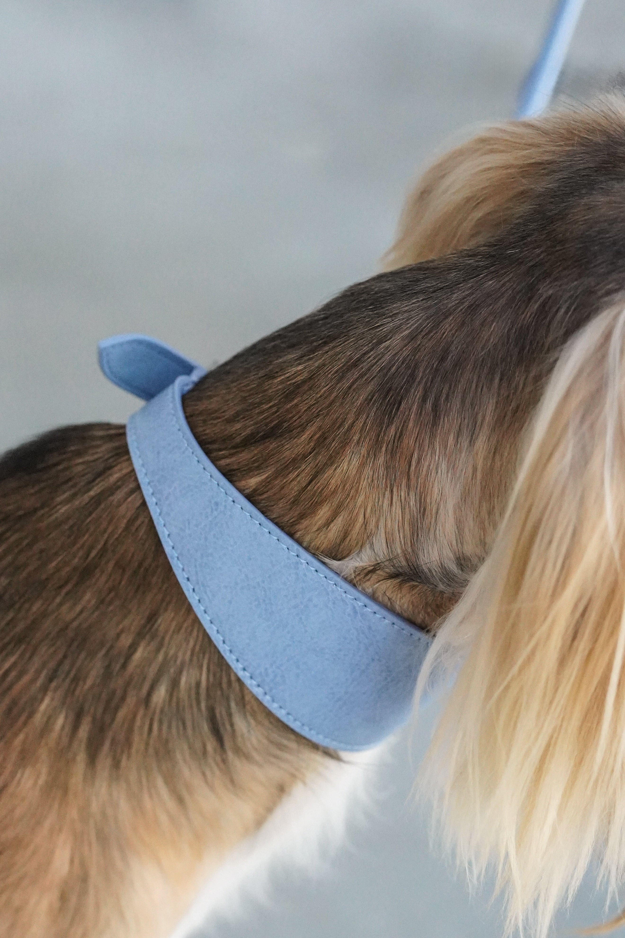 Denim Blue Sighthound Vegan Collar