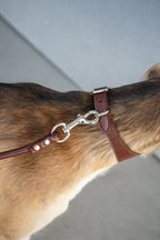 Mocha Brown Sighthound Vegan Collar