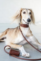 Mocha Brown Sighthound Vegan Collar