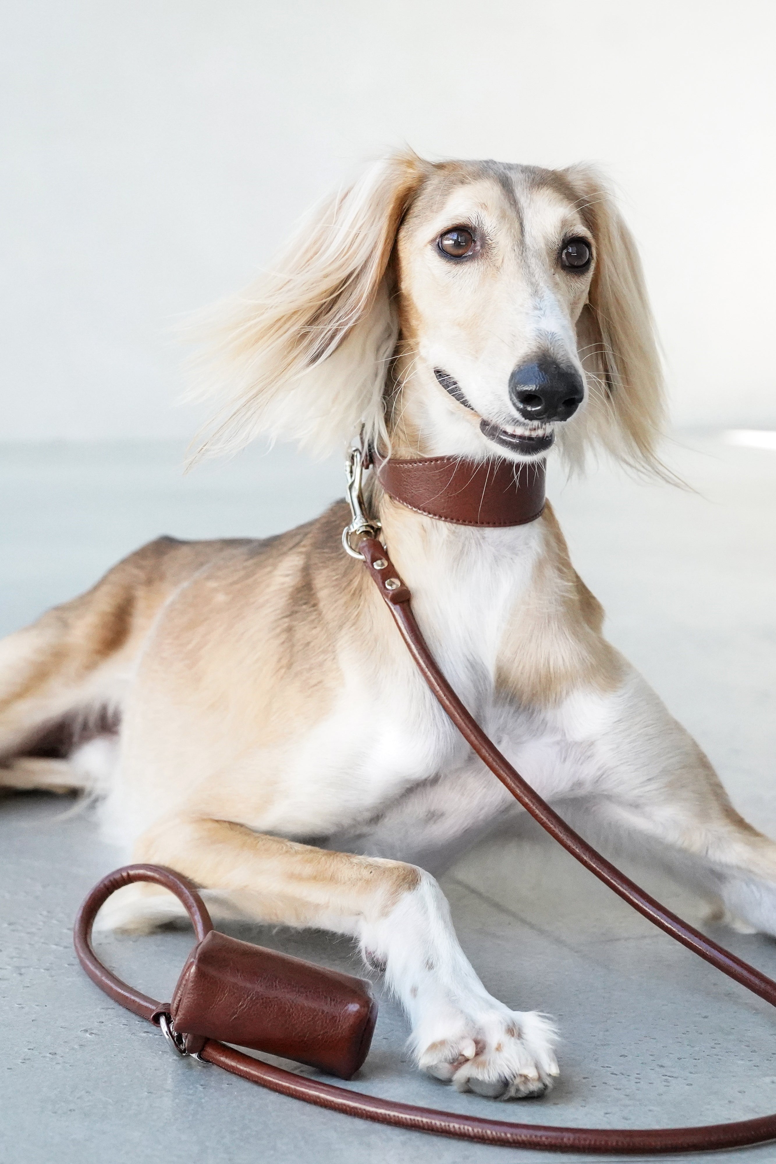 Mocha Brown Sighthound Vegan Collar