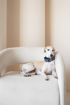 Martingale Collar Ocean depth