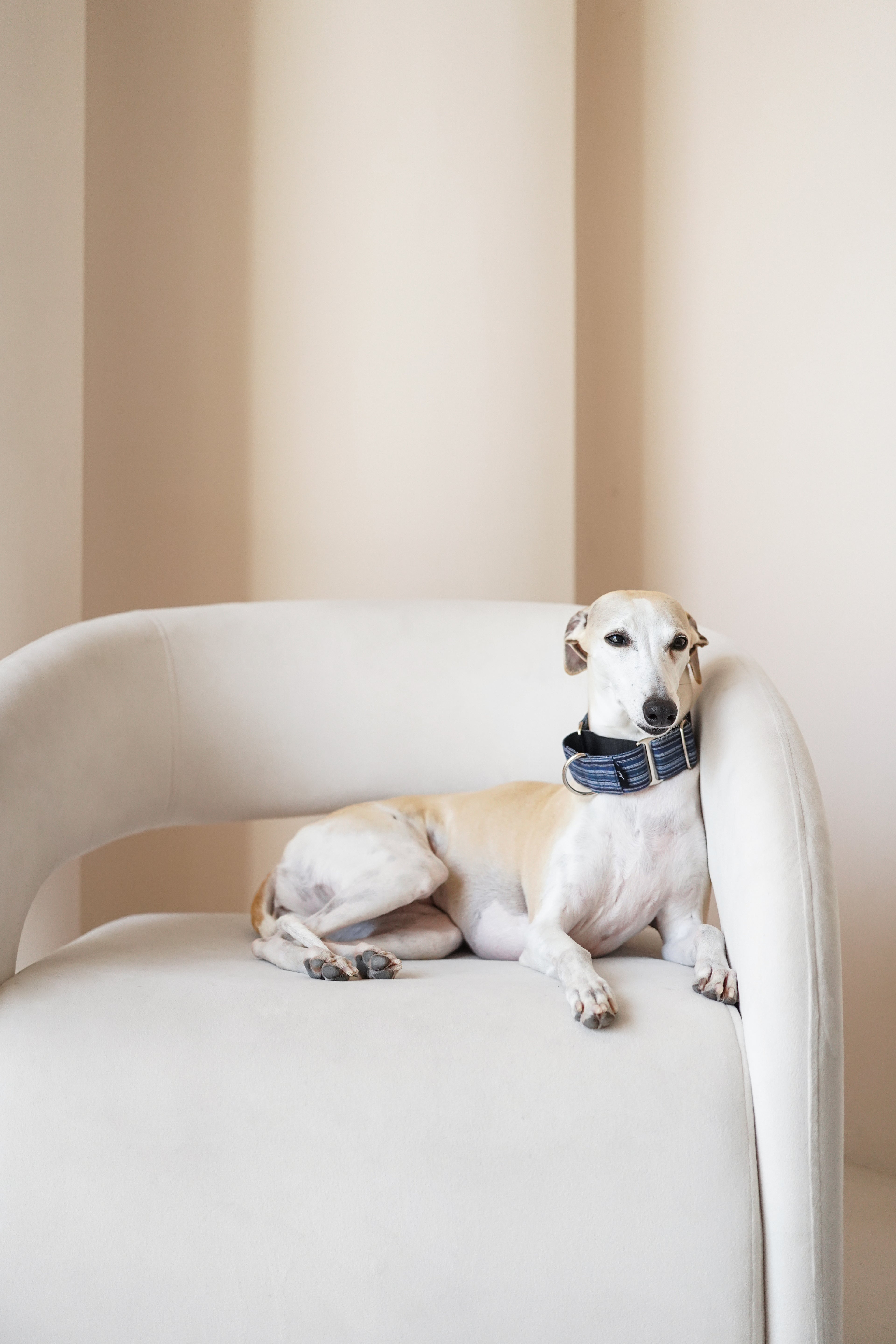 Martingale Collar Ocean depth