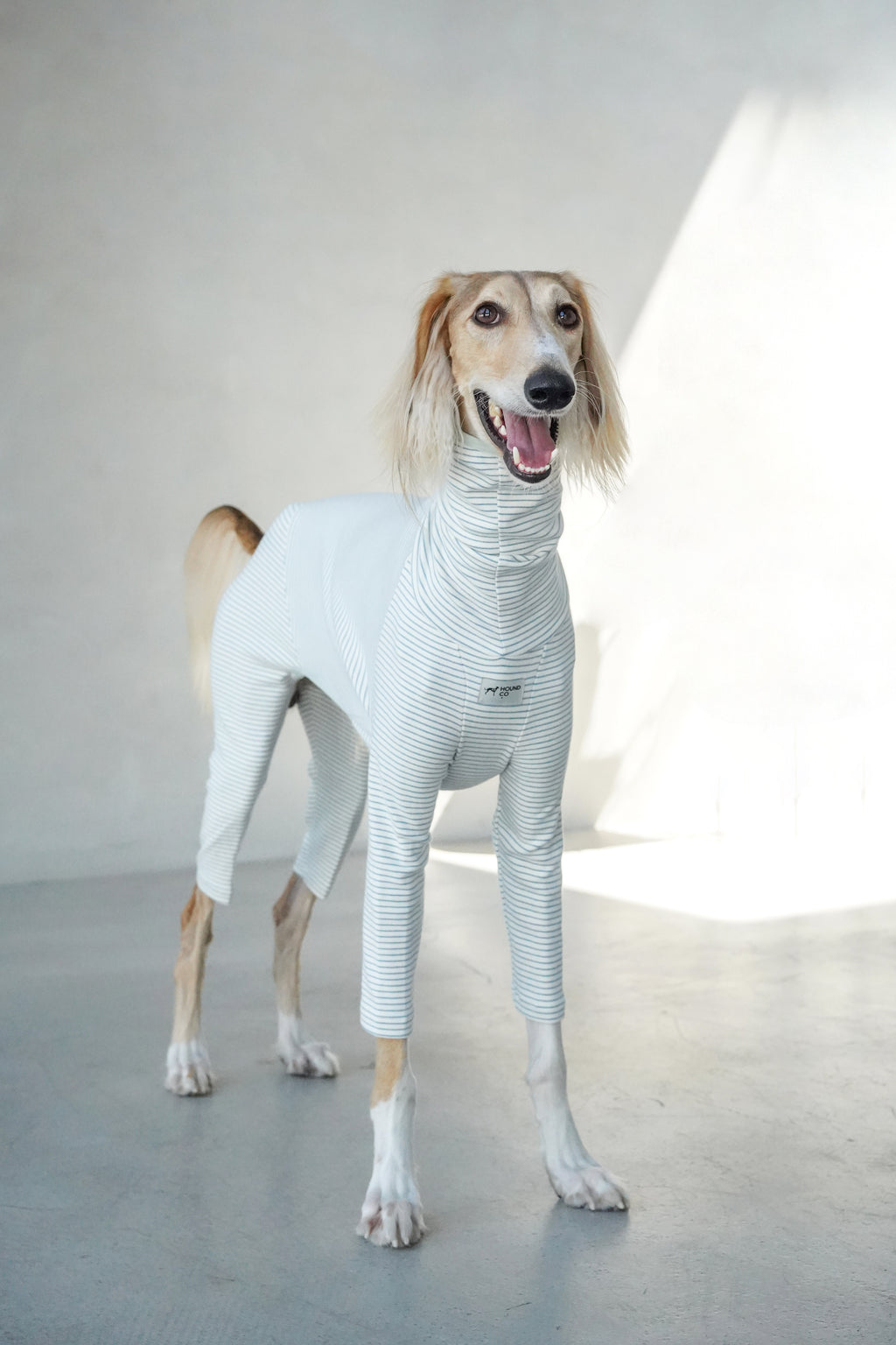 Sighthound cozy stripes onsie