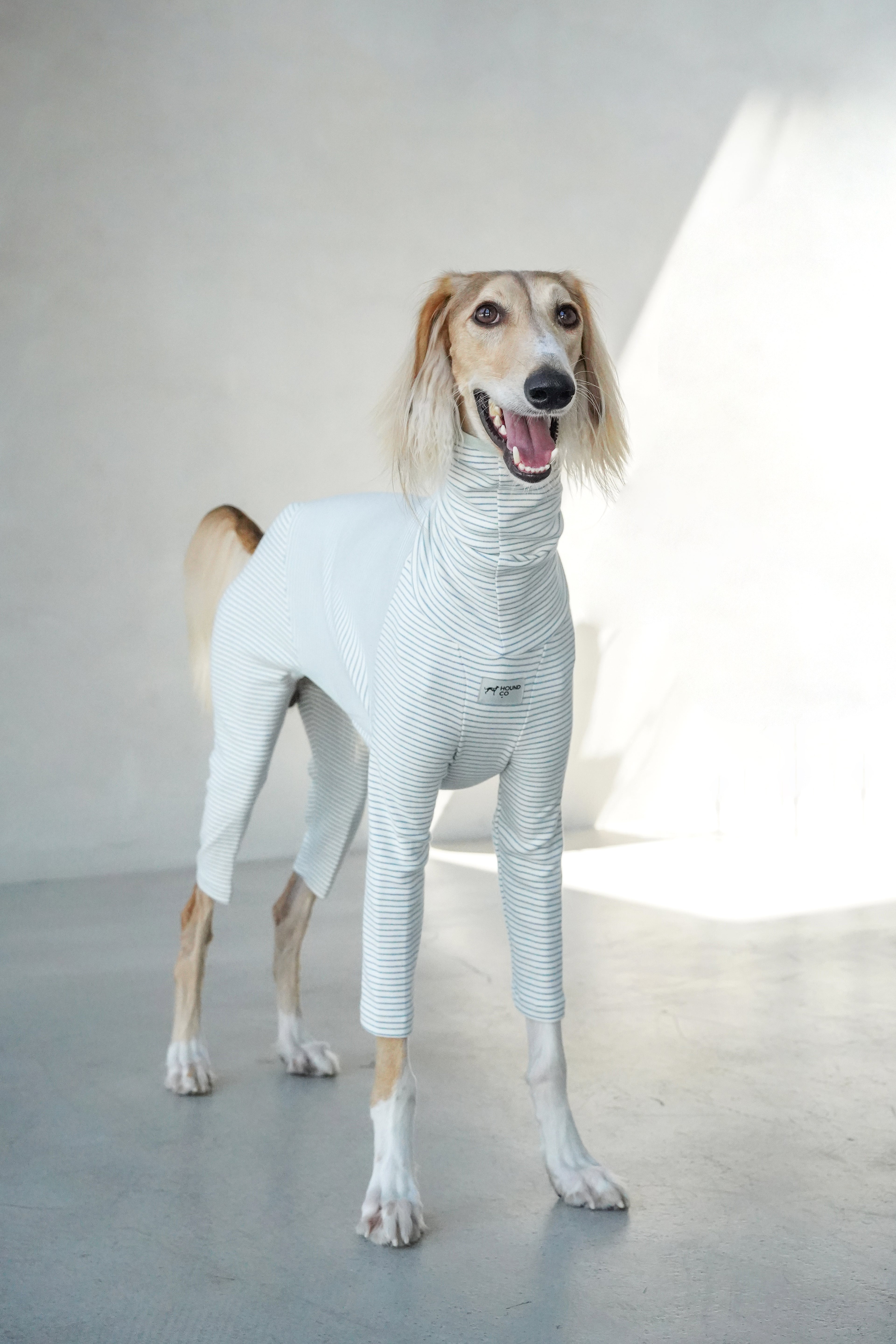 Sighthound cozy stripes onsie