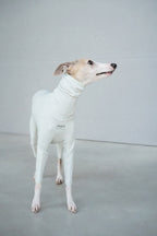 Sighthound cozy stripes onsie