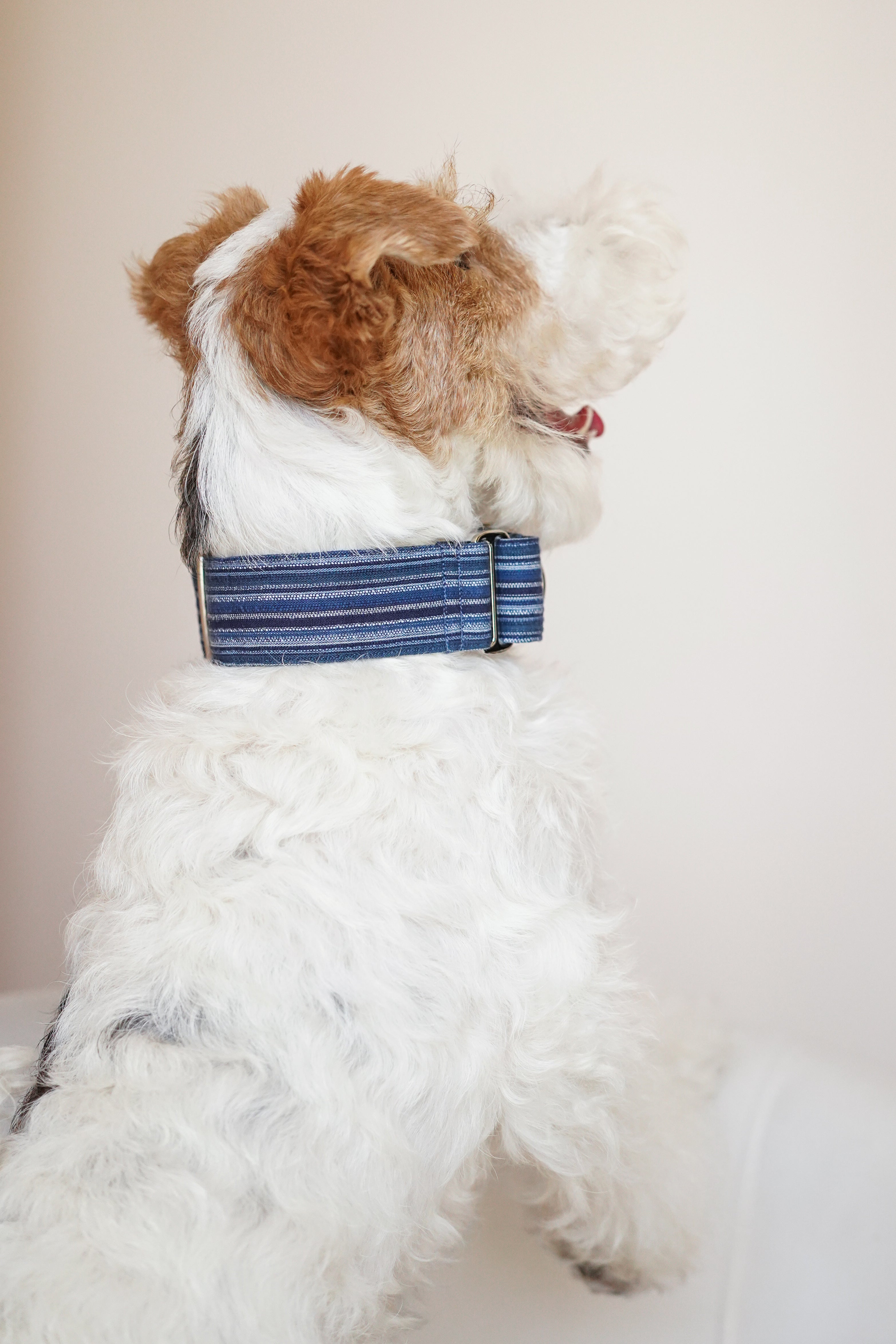Martingale Collar Ocean depth
